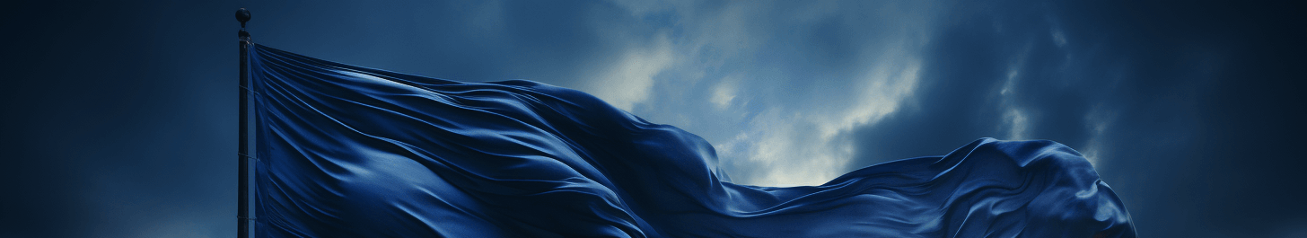 East Turkistan Australian Association