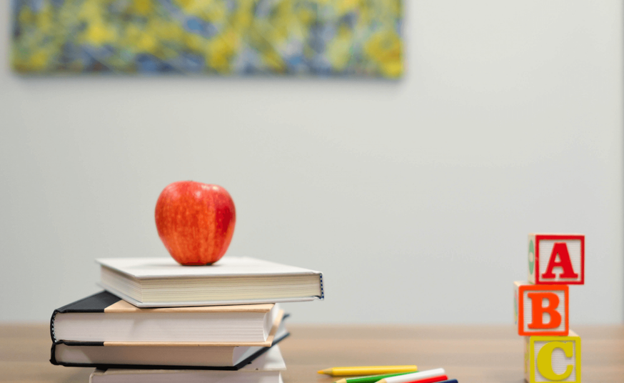 East Turkistan Australian Association